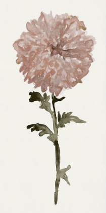Picture of FLOURISHING FLORAL II