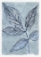 Picture of MODERN BOTANICAL STUDY III