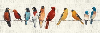 Picture of THE USUAL SUSPECTS - BIRDS ON A WIRE