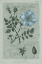Picture of CONVERSATIONS ON BOTANY IV ON WHITE WITH BLUE