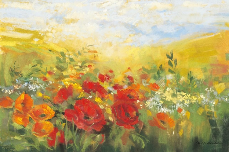 Picture of ORIENTAL POPPY FIELD III