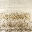 Picture of SILENT MIST I