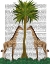 Picture of GIRAFFE TWINS - ANIMALIA BOOK PRINT