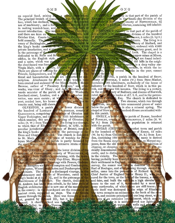 Picture of GIRAFFE TWINS - ANIMALIA BOOK PRINT