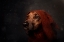 Picture of THE NIGHT-WATCHMAN
