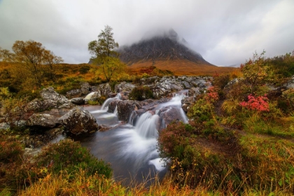 Picture of BUACHAILLE ETIVE MA&SUP2;R