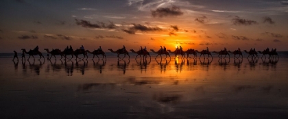 Picture of SUNSET CAMEL SAFARI