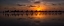 Picture of SUNSET CAMEL SAFARI