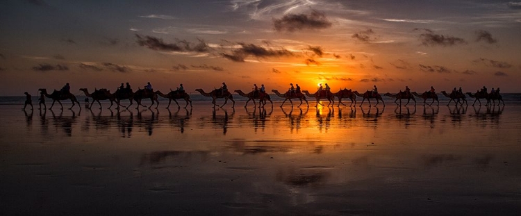 Picture of SUNSET CAMEL SAFARI