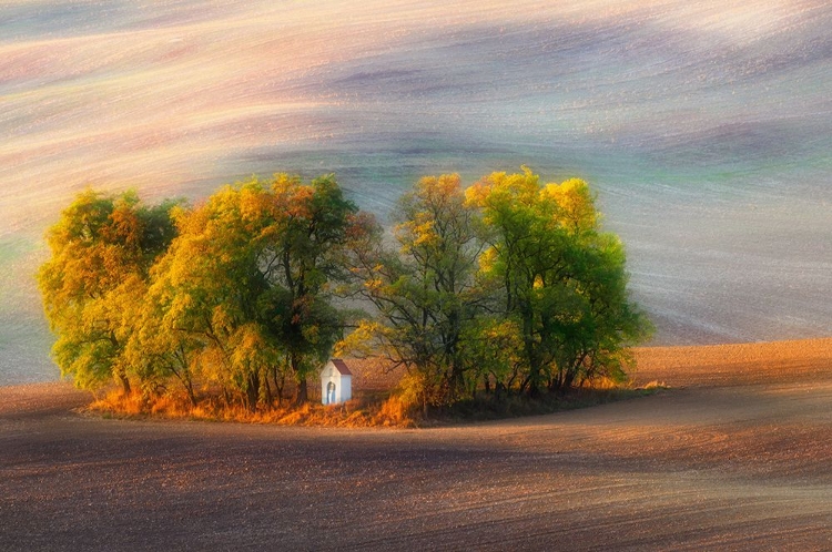 Picture of THE AUTUMN CHAPEL