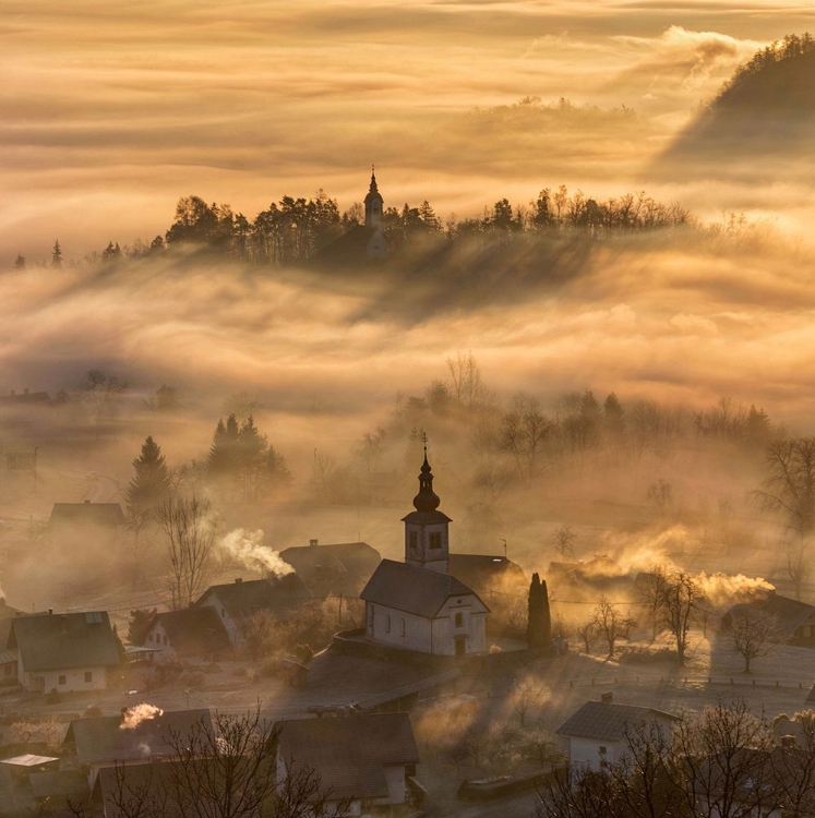 Picture of MISTY MORNING