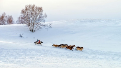 Picture of RACING ON SNOW