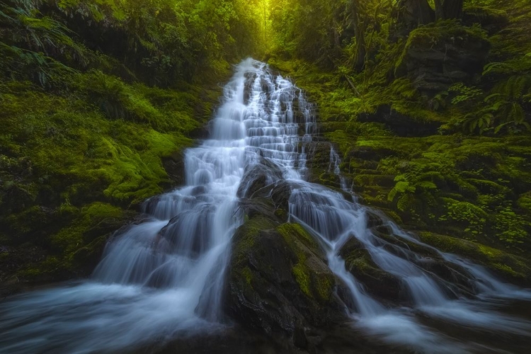 Picture of STAIRCASE FALLS