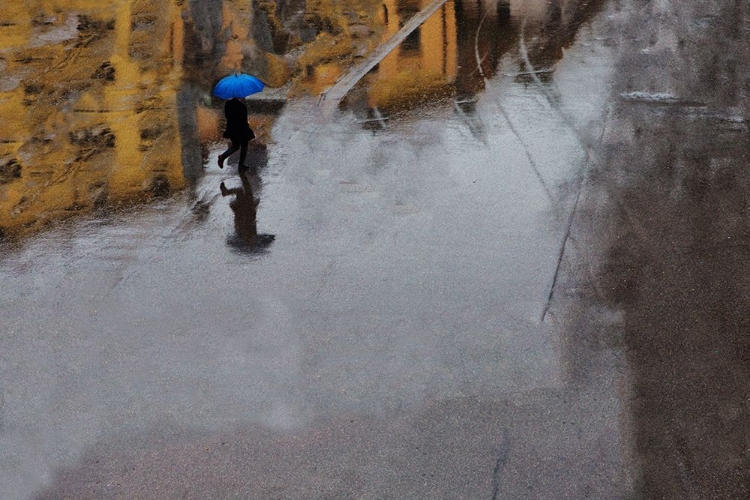 Picture of THE BLUE UMBRELLA