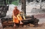 Picture of BUDDHA ADHERENTS