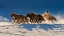 Picture of RACING IN SNOW