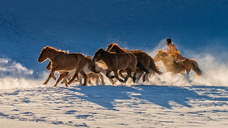 Picture of RACING IN SNOW