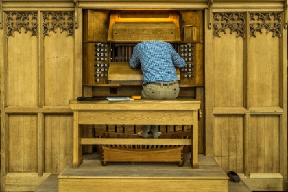 Picture of REPAIRING THE ORGAN