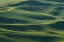 Picture of THE EARTH'S FINE SKIN