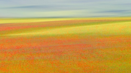 Picture of CASTELLUCCIO COLORS