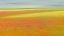 Picture of CASTELLUCCIO COLORS