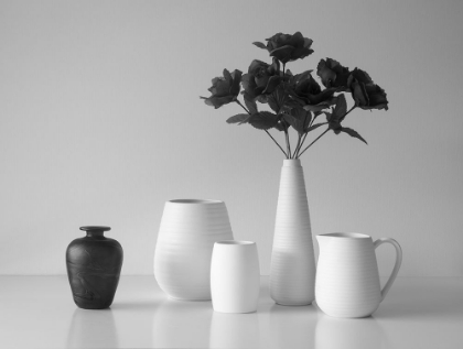 Picture of STILL LIFE IN BLACK AND WHITE