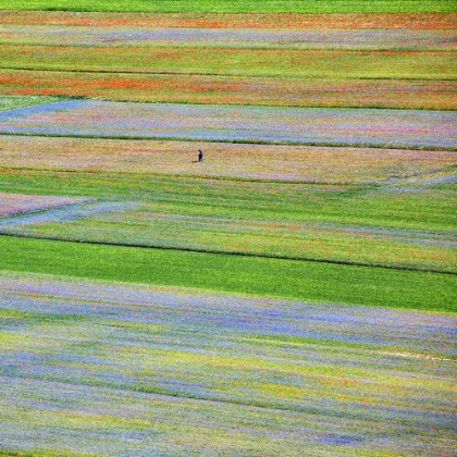 Picture of CASTELLUCCIO 5