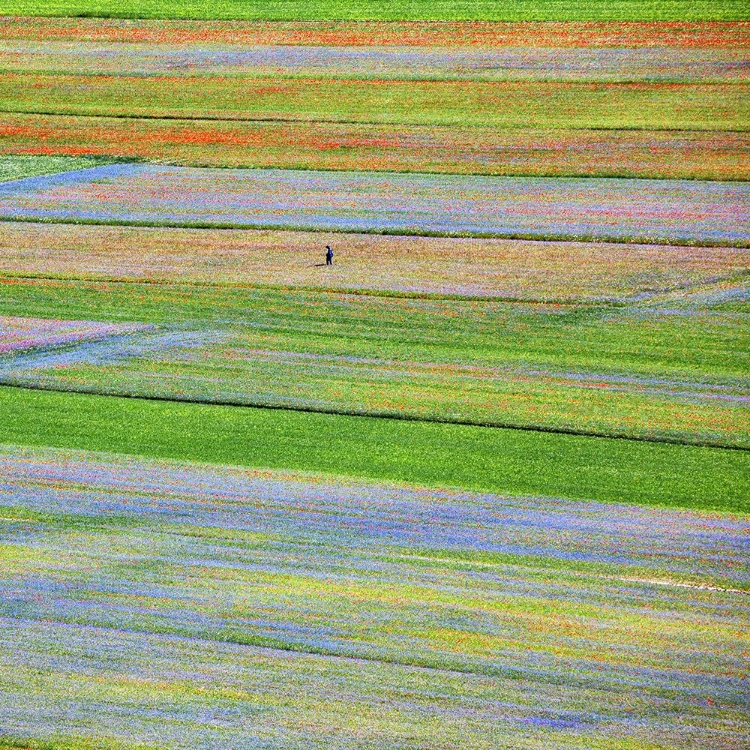 Picture of CASTELLUCCIO 5