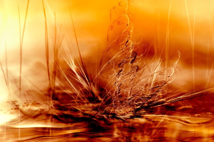 Picture of BURNING WATER
