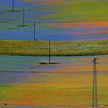 Picture of CASTELLUCCIO 1