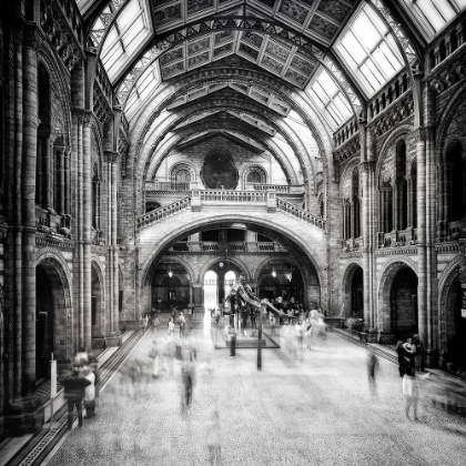 Picture of NATURAL HISTORY MUSEUM OF LONDON