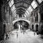 Picture of NATURAL HISTORY MUSEUM OF LONDON