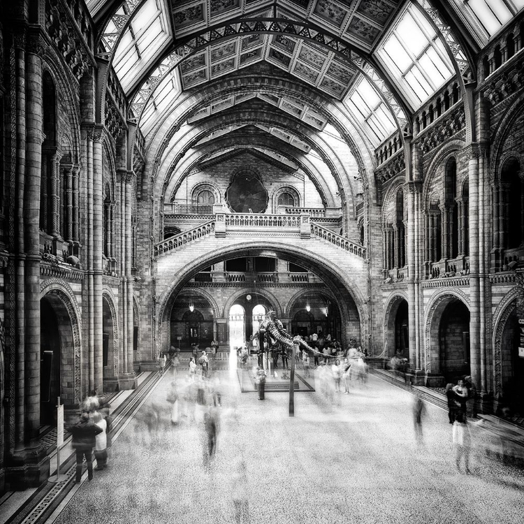 Picture of NATURAL HISTORY MUSEUM OF LONDON