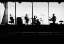 Picture of THE MUSIC