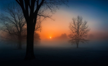 Picture of FOGGY SUNRISE