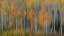 Picture of FALL IMPRESSION #2