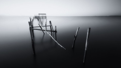 Picture of CARRASQUEIRA IN BLACK AND WHITE