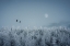 Picture of FROZEN MOON