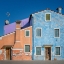Picture of THE SMALL HOUSE COLOR DOG