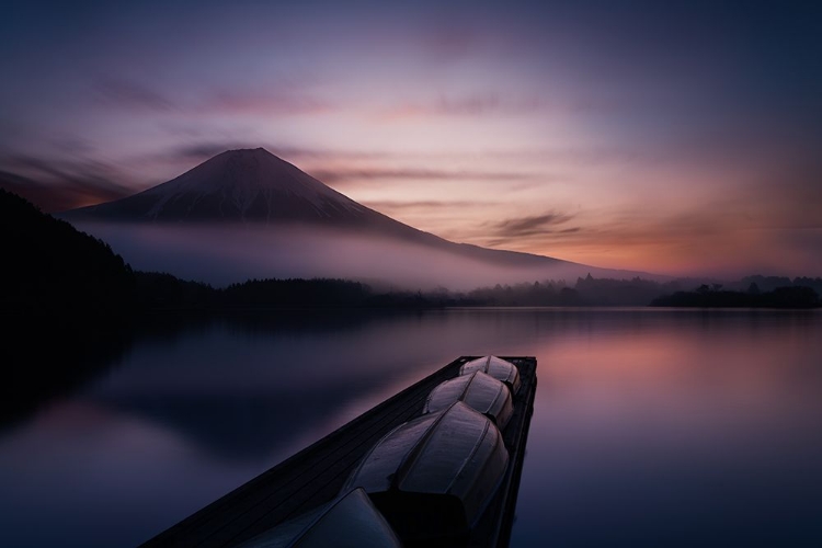 Picture of MYSTIC FUJI