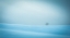 Picture of WINTER IN SOLITUDE