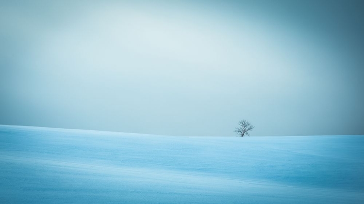 Picture of WINTER IN SOLITUDE