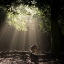 Picture of LIGHT CURTAIN
