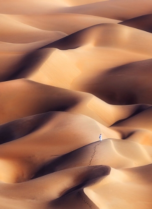 Picture of CHOCOLATE DUNES
