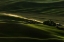 Picture of FARMLAND