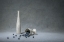 Picture of FALLEN