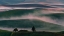 Picture of MISTY FIELD
