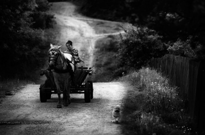 Picture of COUNTRYSIDE LIFE