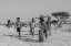 Picture of KIDS PLAYING