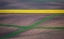 Picture of PAINTING THE FIELDS
